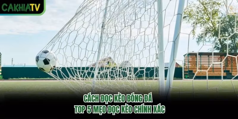 Cách Đọc Kèo Bóng Đá – Top 5 Mẹo Đọc Kèo Chính Xác